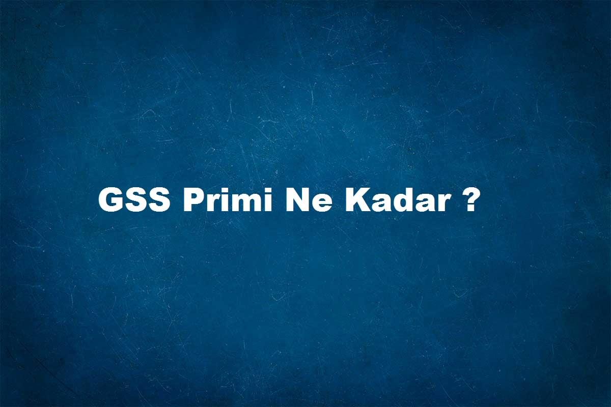 Gelir testi g1 ne kadar öder 2020