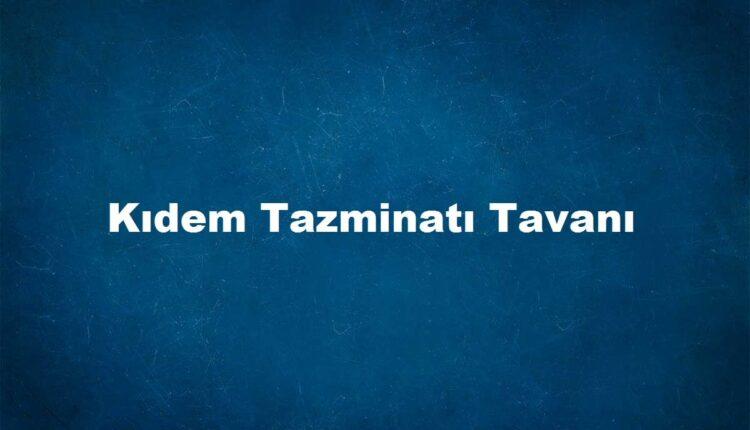 tazminat tavanı