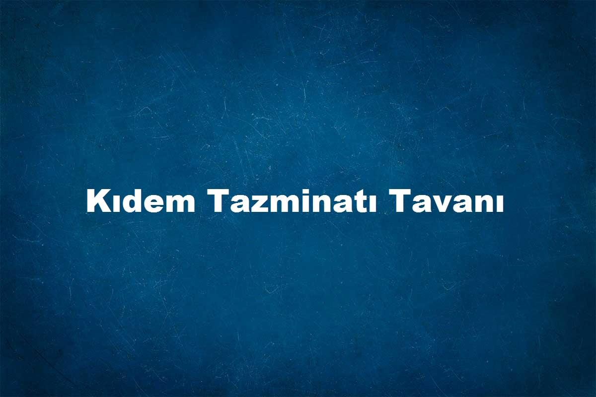 tazminat tavanı