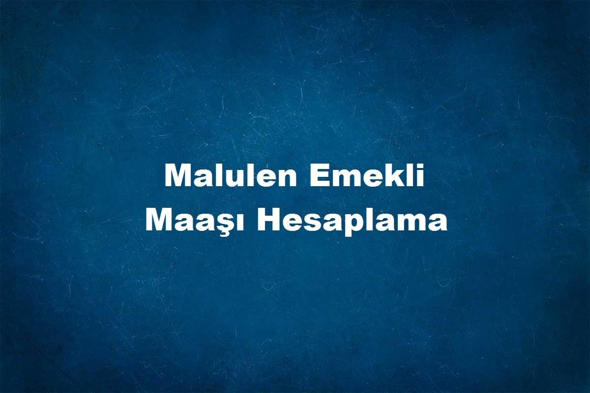 malulen emeklilik şartları